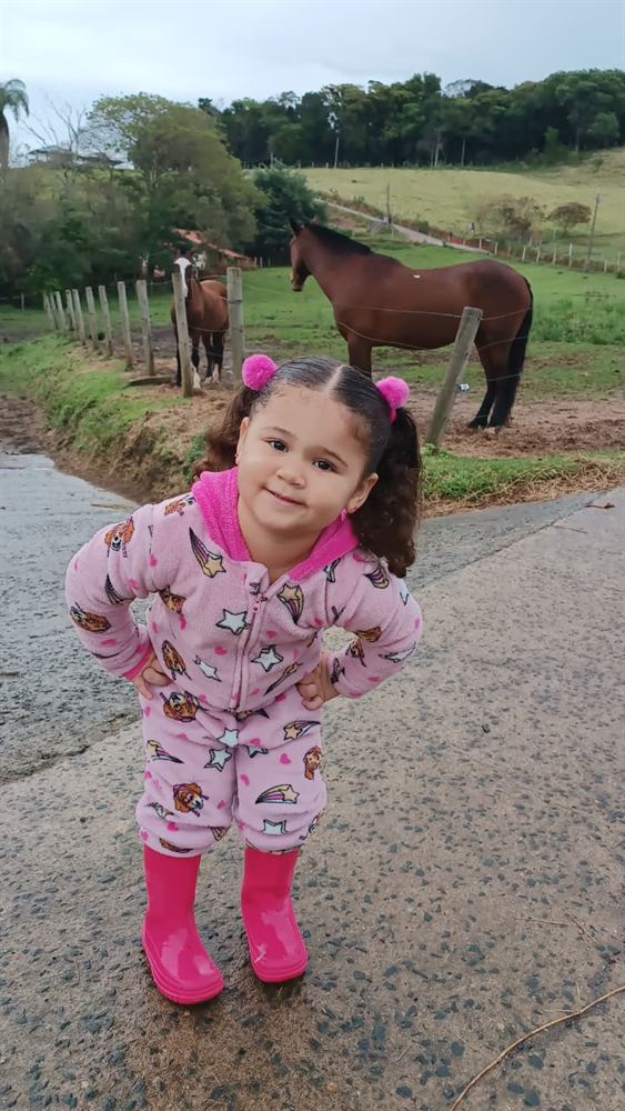 Amiga dos cavalinhos